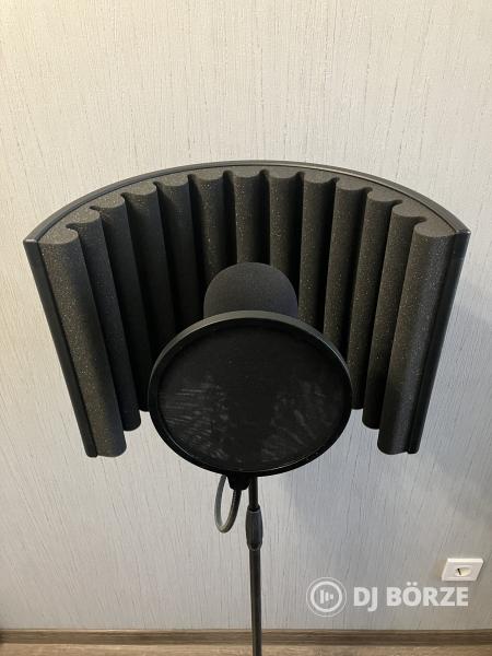 MIC Setup
