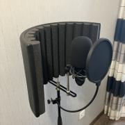 MIC Setup