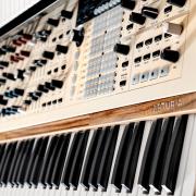 Arturia Polybrute 12, garanciális, alig használt