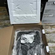 Eladó 4 db Eurolite LED FLOOR SLS-183/10 RGB LED Lámpa