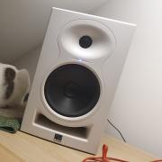 Kali Audio LP6
