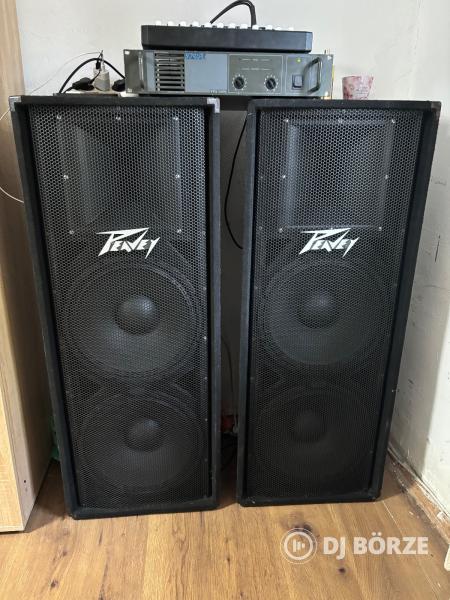 Peavey pv 215