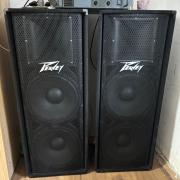 Peavey pv 215