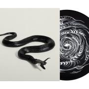 Serato x David Ellis 'Sidewinder' Picture Disc Control Vinyl 2x12"