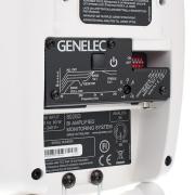 Genelec 8020DWM