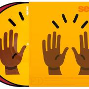 Serato Emoji Series Picture Vinyl 2x12" – Flame