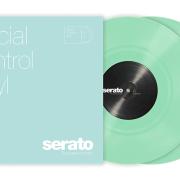 Serato Performance Series Control Vinyl 2x10" – Glow in the Dark
