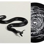 Serato x David Ellis 'Sidewinder' Picture Disc Control Vinyl 2x12"
